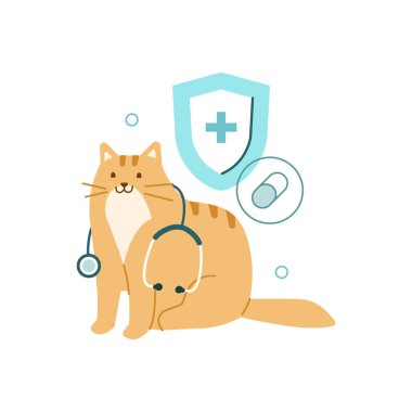 Veteriner olarak veteriner kliniğinde stetoskop kullanan evcil kedi. Veterinerlik ve evcil hayvan bakım konsepti