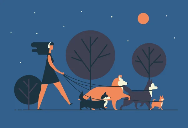 Mujer joven con vestido y auriculares paseos perros con correa a lo largo de la calle de la noche. Chica pasea tranquilamente con sus mascotas en el parque por la noche. Dibujos animados vector colorido ilustración en estilo plano moderno . — Archivo Imágenes Vectoriales