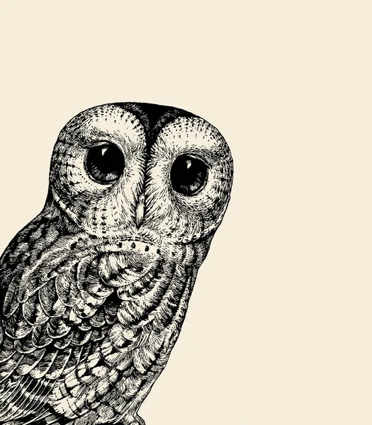 Cute Owl Illustration. Retro Owl Vector Illustration. Baby Owl Black on a White. Can Be Used for t-shirt Print, Kids Wear Fashion Design, Baby Shower Invitation, Nursery Card — Stok Vektör