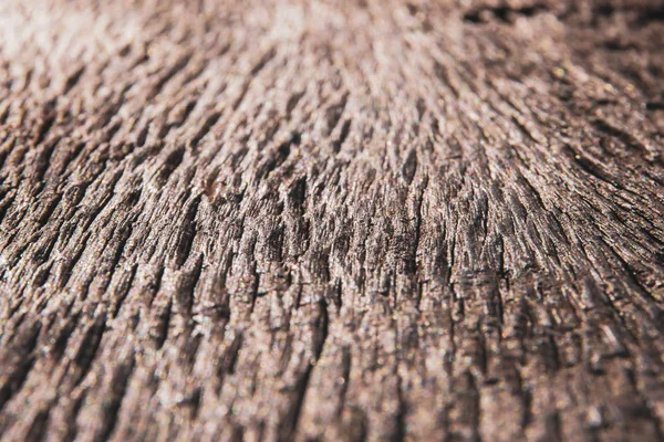 Abstract old wood close up texture. background for vintage background — Stock Photo, Image