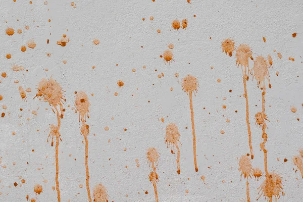 家庭墙壁脏与泥巴飞溅为家庭清洁 — 图库照片