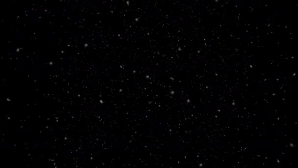 Kis és nagy hó hópelyhek téli ünnep karácsony, fekete háttér ellenében overlay vdo design — Stock videók