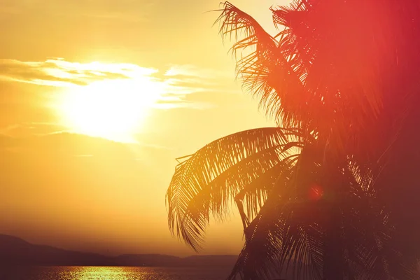 Atardecer cielo de hora dorada con sol sobre la montaña y hoja de palma para las vacaciones de verano fondo tono retro —  Fotos de Stock