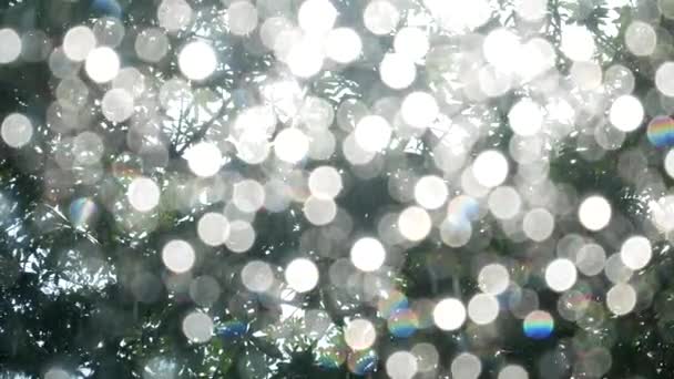 Bokeh από σταγόνες βροχής στα τζάμια του αυτοκινήτου με ηλιακό φως — Αρχείο Βίντεο