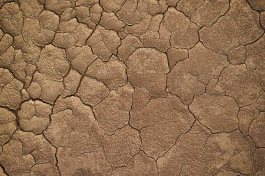 Yağmur yağdığı için yağmur un azlığı toprak dokusunu kırdığı için yağmur mevsiminde kuru çatlamış toprak