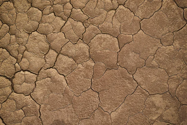 Dry cracked earth during in a rainy season because lack of rain shortage of water cracked soil texture — Stock Photo, Image