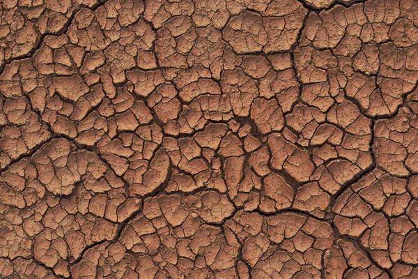 Droge gebarsten aarde in een regenseizoen omdat gebrek aan regen tekort aan water gebarsten bodemtextuur — Stockfoto