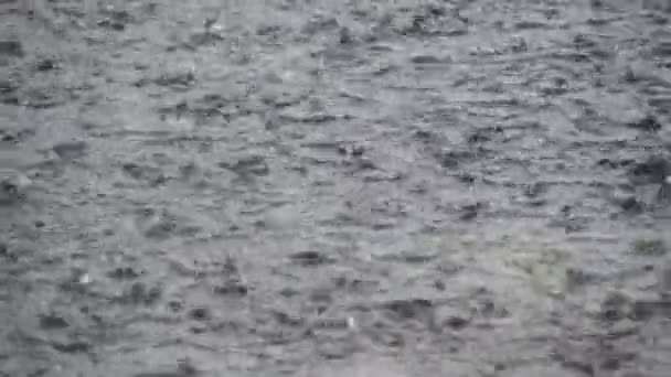 Esővíz cseppek hullanak a városi utcára esős napokon. — Stock videók