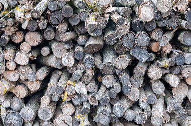 Kış için hazırlanmış odun yığını