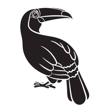 Toucan siyah kuş siluet beyaz arka plan üzerinde