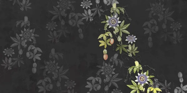 Fiori Tropicali Dipinti Muro Cemento Strutturato Nero Fiori Passiflora Splendidamente — Foto Stock