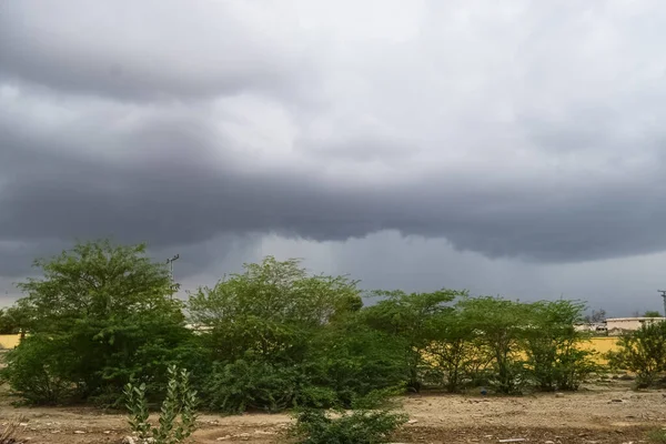 Manzara yağmuru mevsimi bulutları, ağaçlar duvar manzarası doğa manzarası güzel gökyüzü