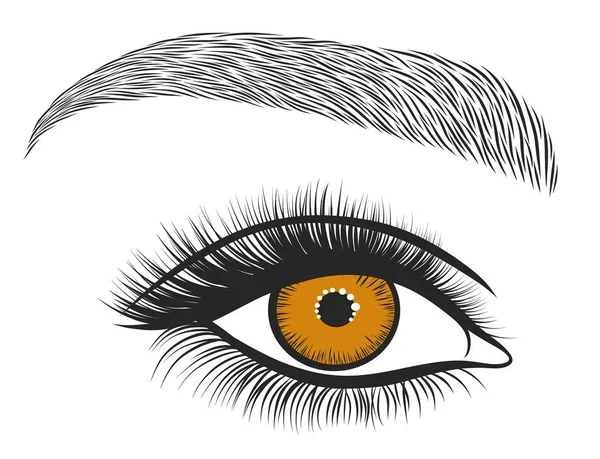 Hand Drawn Bright Eye Thick Long Eyelashes Perfect Brow Stylized — Stock Vector