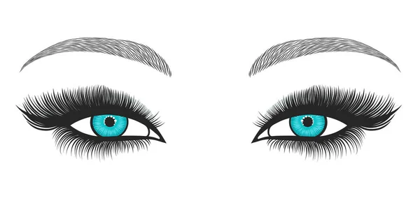 Handgezeichnete Helle Augen Mit Dicken Langen Wimpern Und Perfekten Augenbrauen — Stockvektor