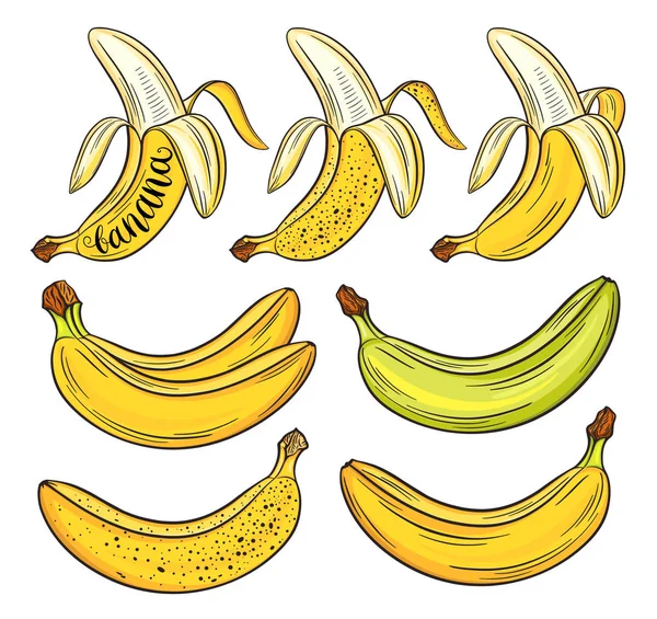 Conjunto de bananas desenhadas à mão, isoladas sobre fundo branco. Ilustração decorativa do vetor doodle —  Vetores de Stock