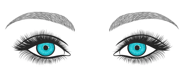 Çekilmiş Parlak Gözleri Ile Kalın Uzun Kirpik Mükemmel Kaşları Stilize — Stok Vektör