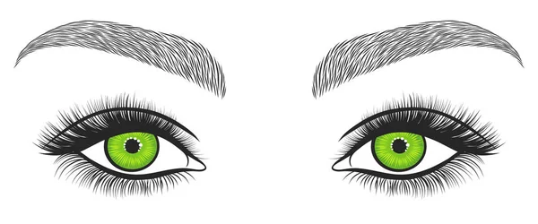 Occhi Luminosi Disegnati Mano Con Ciglia Spesse Lunghe Sopracciglia Perfette — Vettoriale Stock