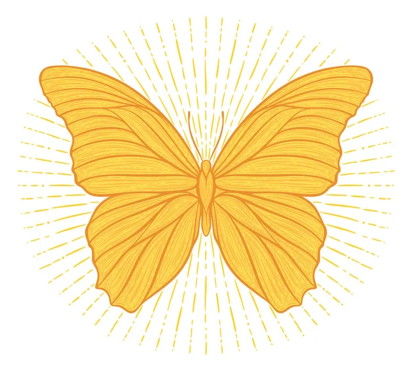 Gestileerde etnische boho vlinder met glanzende lichten effect op wit wordt geïsoleerd. Decoratieve doodle vectorillustratie. Perfect voor een briefkaart, poster, afdrukken, wenskaarten, t-shirt, telefoon behuizing — Stockvector