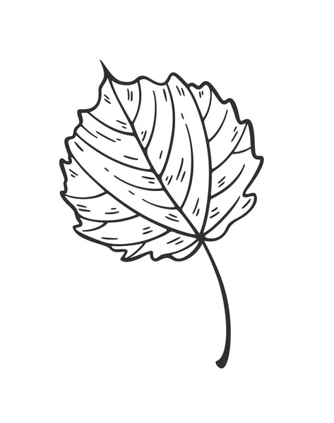 Fallande löv vektor illustration. Dekorativa grafisk svart kontur höstlöv avhemligade isolerade på vit bakgrund. Handritade organiska linjer — Stock vektor