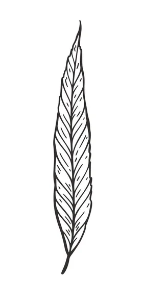 落ち葉ベクトルイラスト。装飾的なグラフィックブラックアウトライン秋の葉のコレクトンは、白い背景に隔離されています。手描きの有機線 — ストックベクタ