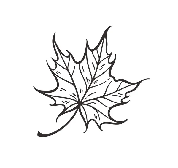 Foglie cadenti illustrazione vettoriale. Grafica decorativa contorno nero autunno foglie collecton isolato su sfondo bianco. Linee organiche disegnate a mano — Vettoriale Stock