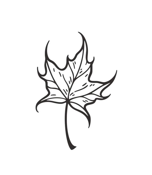 Falling leaves vector illustration. Decorative graphic black outline autumn leaves collecton isolated on white background. Hand drawn organic lines — Stock Vector