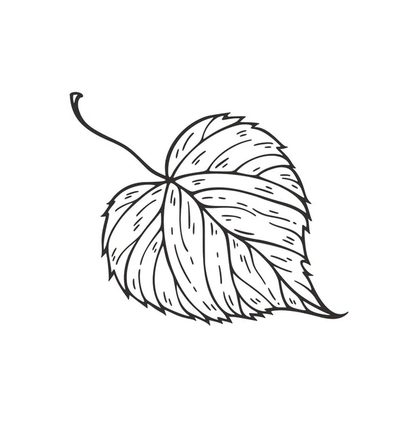 Fallande löv vektor illustration. Dekorativa grafisk svart kontur höstlöv avhemligade isolerade på vit bakgrund. Handritade organiska linjer — Stock vektor