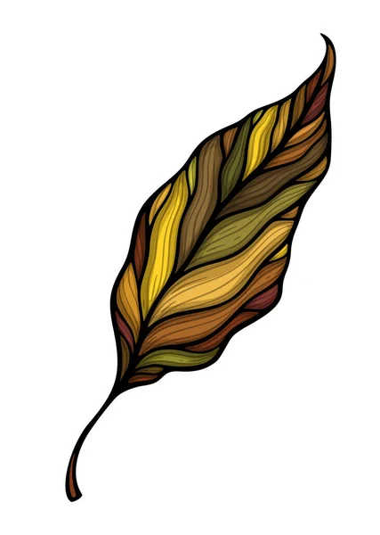 Fallendes Blatt Bunte Vektorillustration Dekorative Handgezeichnete Bio Herbstblatt Kollektion Isoliert — Stockvektor