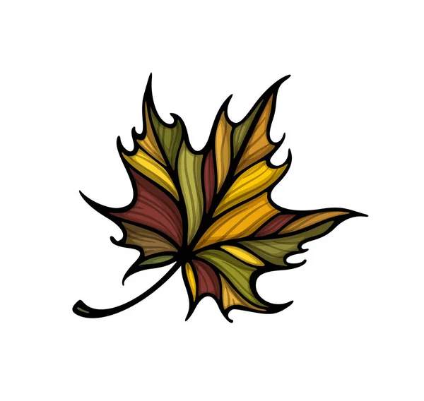 Falling Maple Leaf Colorful Vector Illustration Decorative Hand Drawn Organic Royalty Free Stock Illustrations