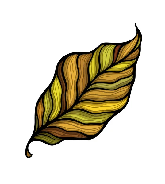 Falling Leaf Colorful Vector Illustration Decorative Hand Drawn Organic Autumn Vector Graphics