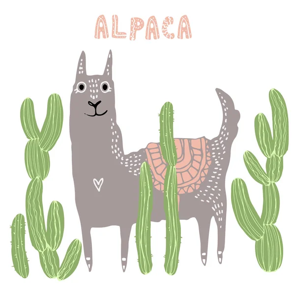 Gyönyörű Kézzel Rajzolt Vektor Illusztráció Láma Kaktuszok Betűs Szó Alpaka — Stock Vector