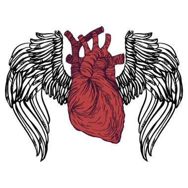 Ateşli, açık kanatlı, güllü, gerçekçi, detaylı bir kalp çizimi. Mürekkep oyma stili renkli resim. Tişört baskısı için tasarım ögesi.