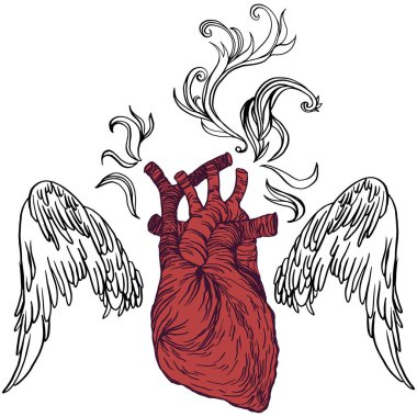 Ateşli, açık kanatlı, güllü, gerçekçi, detaylı bir kalp çizimi. Mürekkep oyma stili renkli resim. Tişört baskısı için tasarım ögesi.