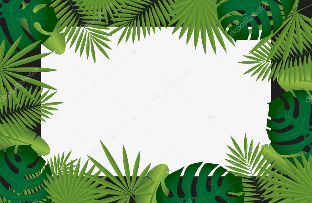 Trendy tropical background.Frame from tropical palm leaves with a dark-white background.Summer background.