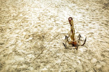 Plaj yerel fisher tarafından terk edilmiş eski, paslı çapa mans Goa, Hindistan