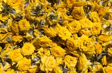 Renkli çiçek arka plan içinde belgili tanımlık çarşı.