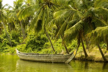 Geleneksel ahşap Kano Kannur önemsizden, Kerala, Hindistan kıyısında.