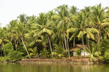 Tekne Oluşturucusu küçük kulübe Kannur kanallar, Kerala, Hindistan kıyısında