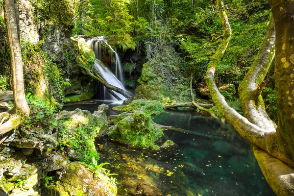 Vaioaga Водоспад Під Час Походи Рядових Ущелини Протягом Осені Румунія — стокове фото