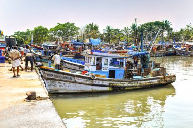 Balıkçılar renkli teknelerini Kannur 'a, Kerala' ya, Hindistan 'a yanaştırıyorlar. Bugünkü avlarını satmak için balıkçı pazarı. Fotoğraf 27 Nisan 2018 'de çekildi..