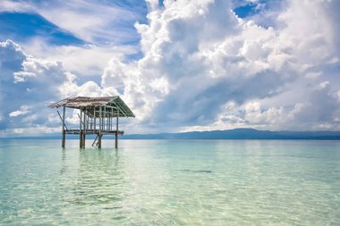 Filipinler, Bohol 'daki temiz sığ suların alçak açılı görüntüsü.