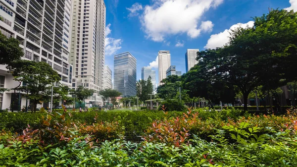 Bonifacio Global City Taguig Metro Manila Ландшапірована Зелень Парку Небом — стокове фото