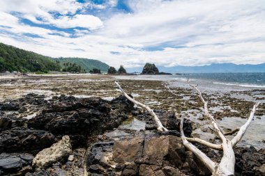 Diguisit Sahili, Baler, Aurora, Filipinler 'de ölü bir ağaç dalı ve kayalık çıkıntılar..