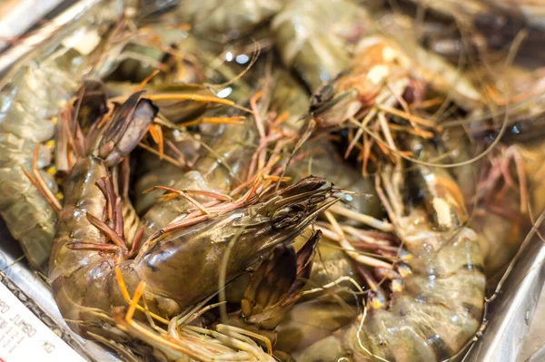 Super Jumbo Shrimp Ice Display Supermarket Fish Market — Stock Photo, Image