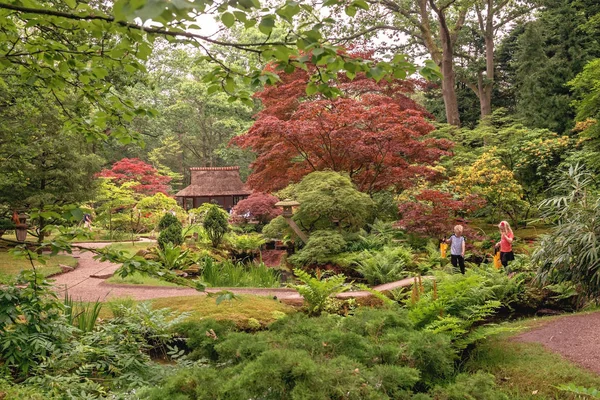 Haag, Zuid-Holland / Nederländerna - 30 maj 2018: barn i den magiska Clingendael japanska trädgård under våren — Stockfoto