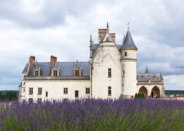 Amboise Indre Loire Francia Junio 2018 Chateau Amboise Con Macizo — Foto de Stock