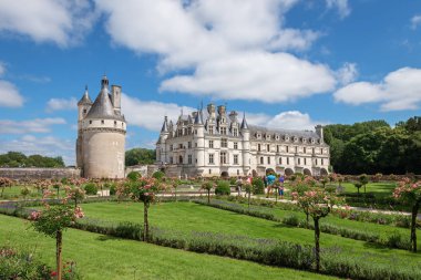 Chenonceau, Indre Et Loire / Fransa - 19 Haziran 2018: Chteau de Chenonceau bahar bahçe doğal görünümünü