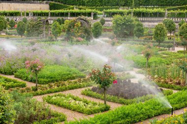  Villandry, Indre Et Loire / Fransa - 19 Haziran 2018: ünlü bahçedeki bitkilerin sulama