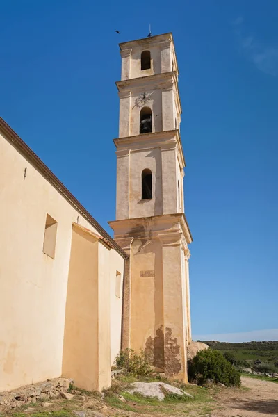 Zvonice Kostela Zvěstování Bratrství San Antonino Korsika Francie — Stock fotografie