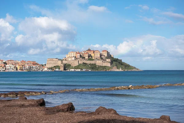 Vista de la histórica fortaleza de la ciudad corsa de Calvi desde la playa, cubierta de hierba marina, Francia — Foto de Stock